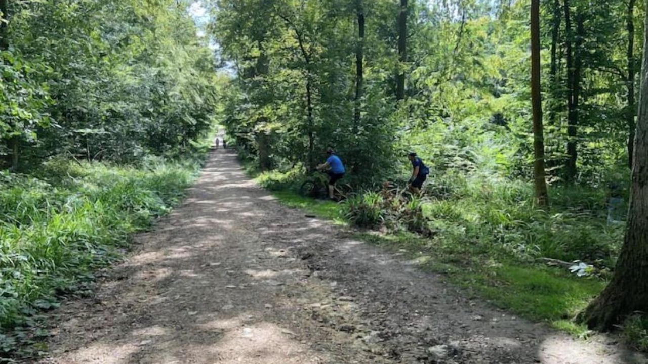 Photo of Others in Eaubonne