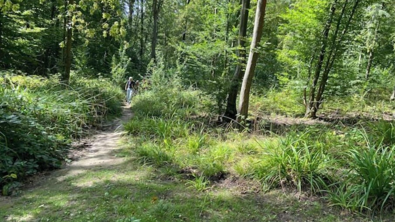 Photo of Outdoor in Eaubonne