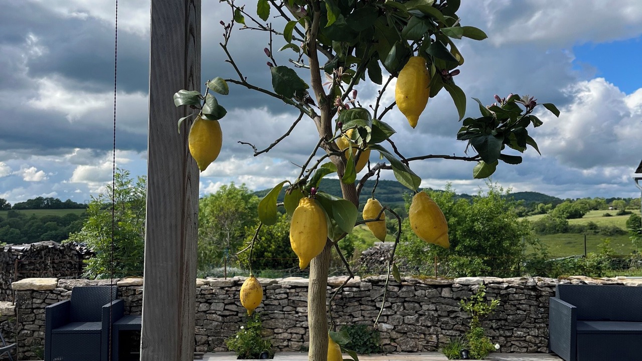 Photo of Outdoor in Bozouls