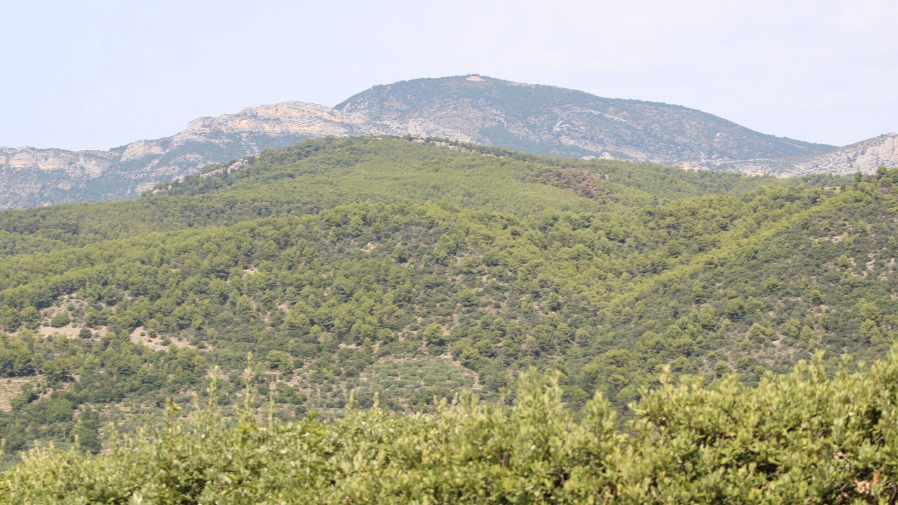 Photo of Others in Mollans-sur-Ouveze