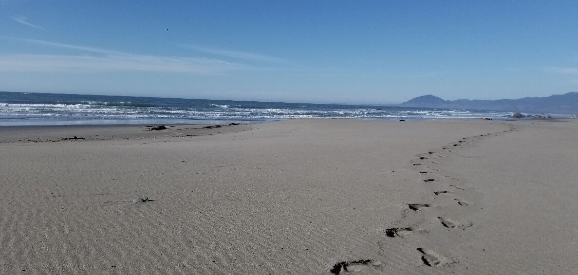 Photo of Others in Gold Beach