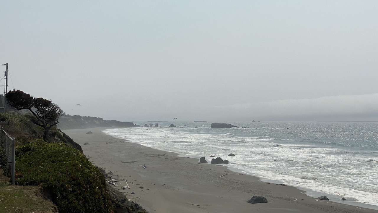 Photo of Others in Gold Beach