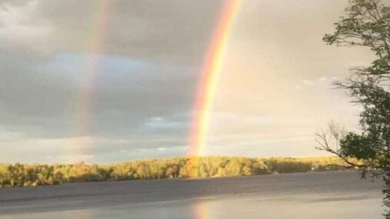 Photo of Others in Shortts Lake