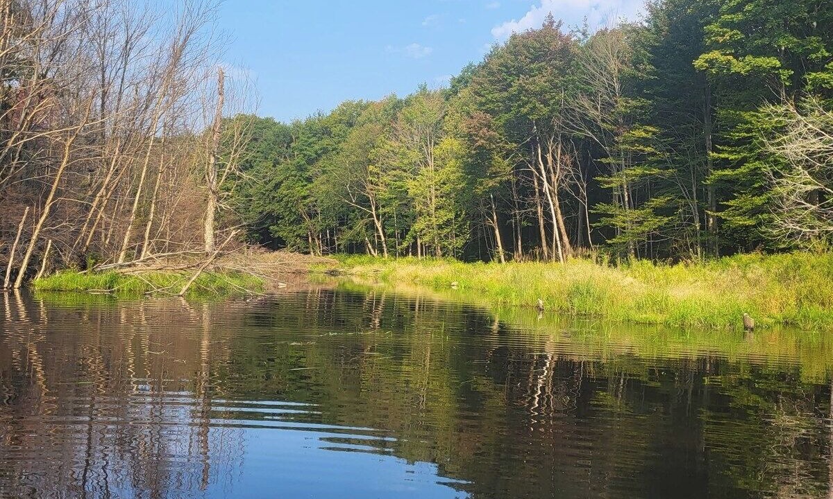 Photo of Others in Pine Hill