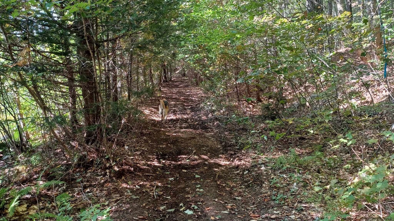 Photo of Others in Pine Hill