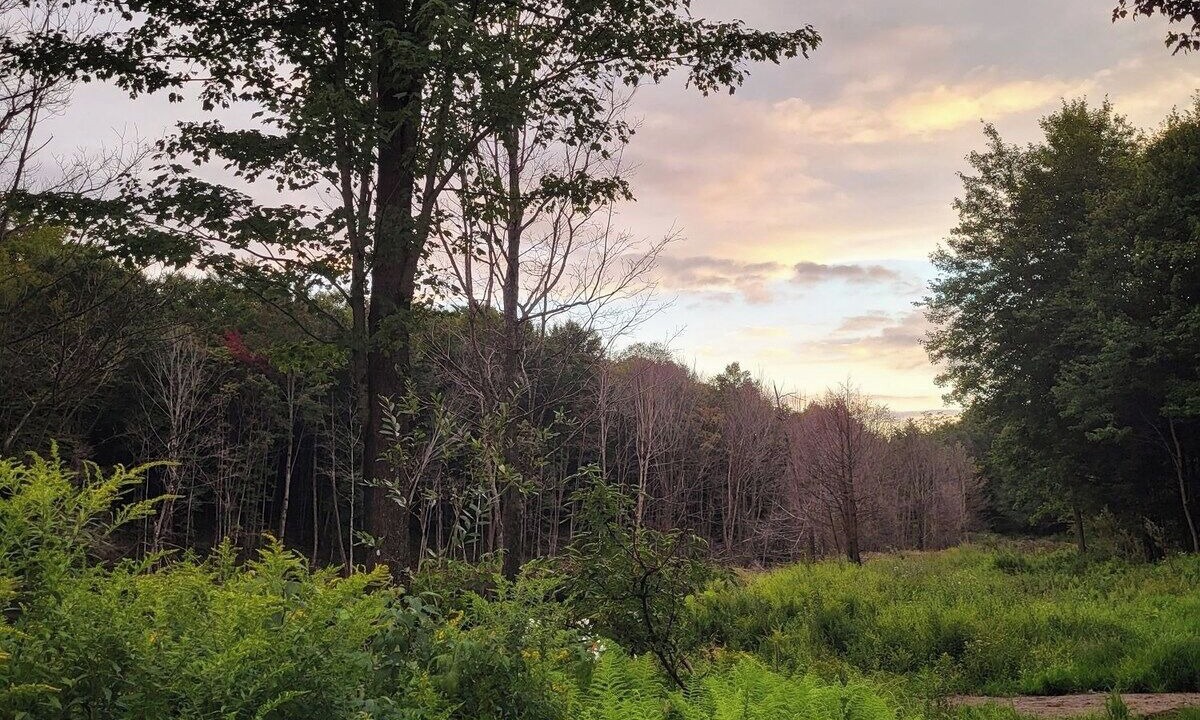 Photo of Others in Pine Hill