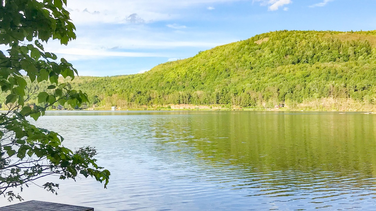 Photo of Outdoor in Hubbardton