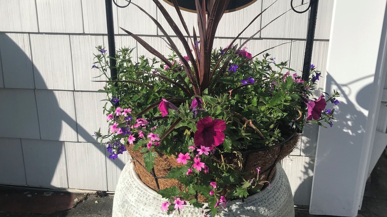 Photo of Outdoor in Sodus Point
