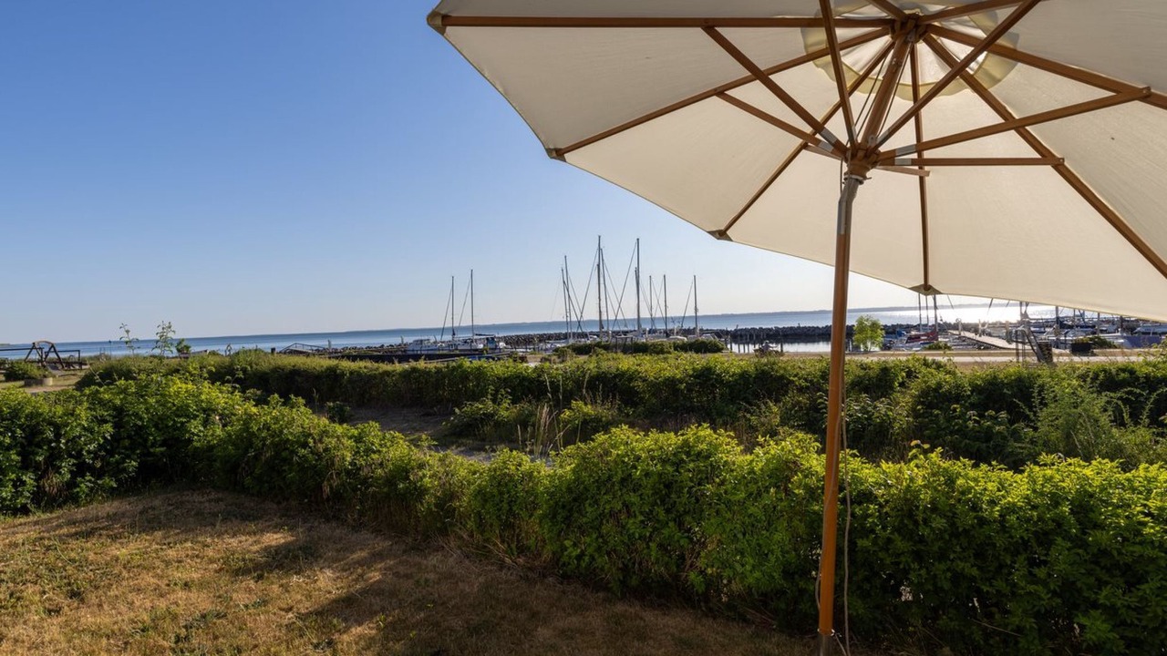 Photo of Others in Lohals