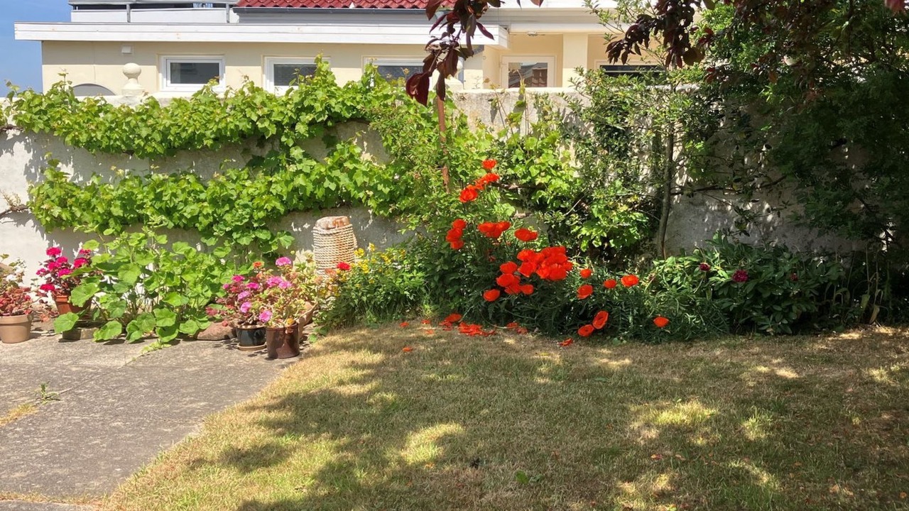 Photo of Others in Lohals