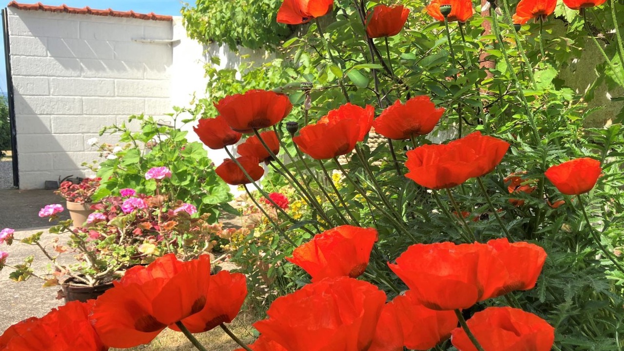 Photo of Others in Lohals