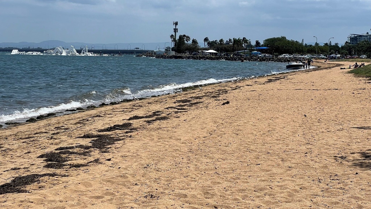 Photo of Others in Scarborough