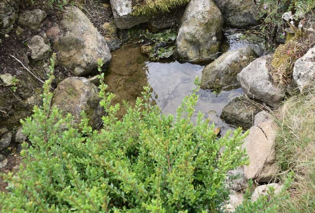 Photo of Outdoor in Saint-Pierre-d'Entremont