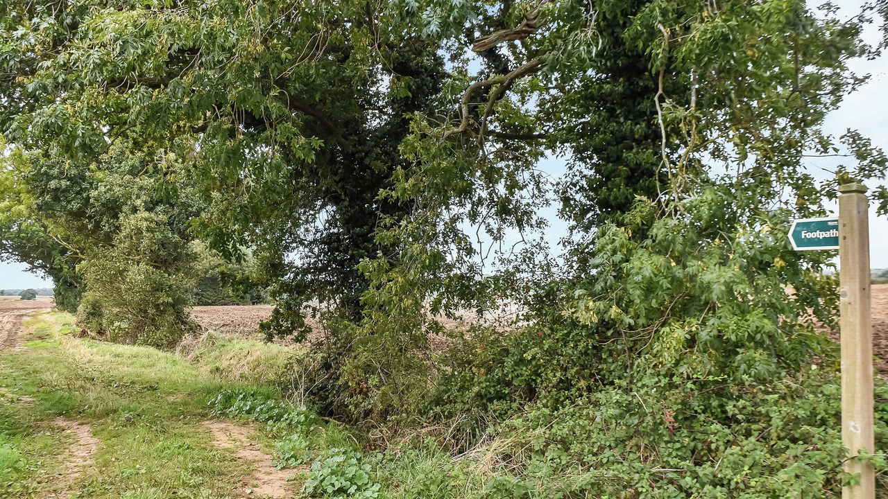 Photo of Others in Beccles