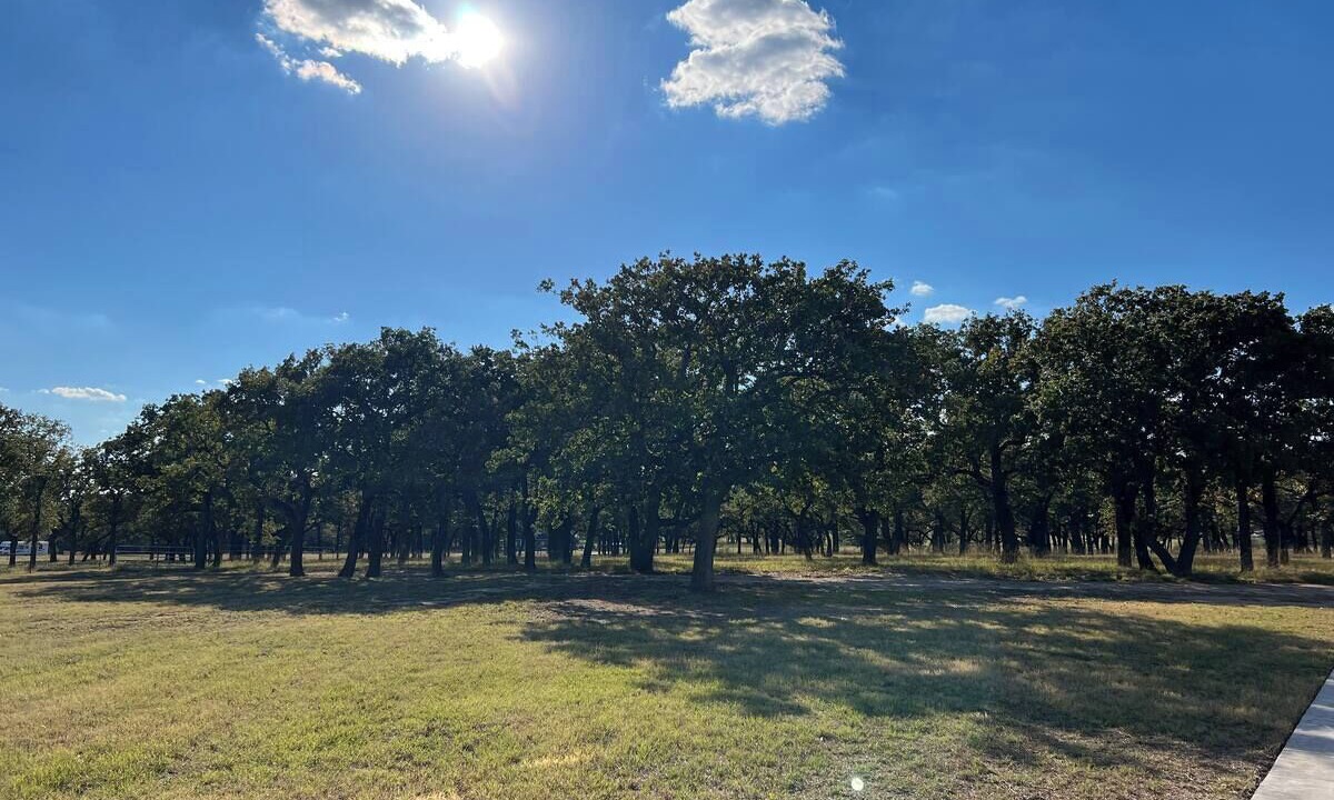 Photo of Outdoor in Paradise