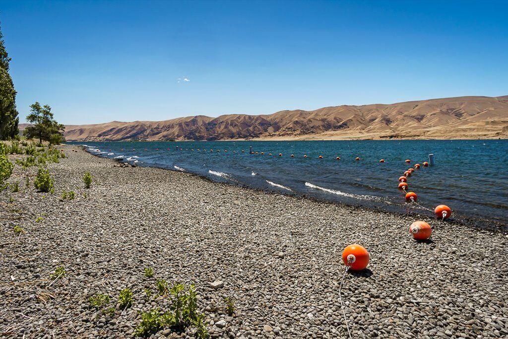 Photo of Others in Desert Aire