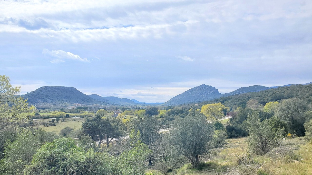 Photo of Others in Saint-Hippolyte-du-Fort