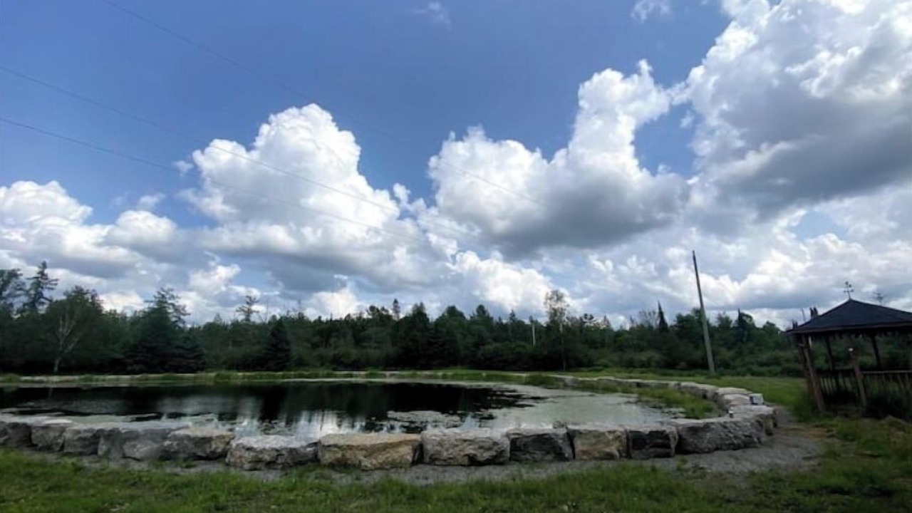 Photo of Outdoor in Irondale