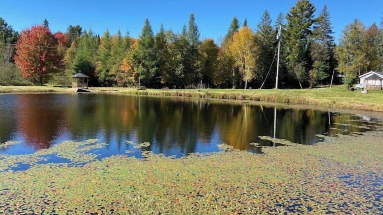 Photo of Outdoor in Irondale