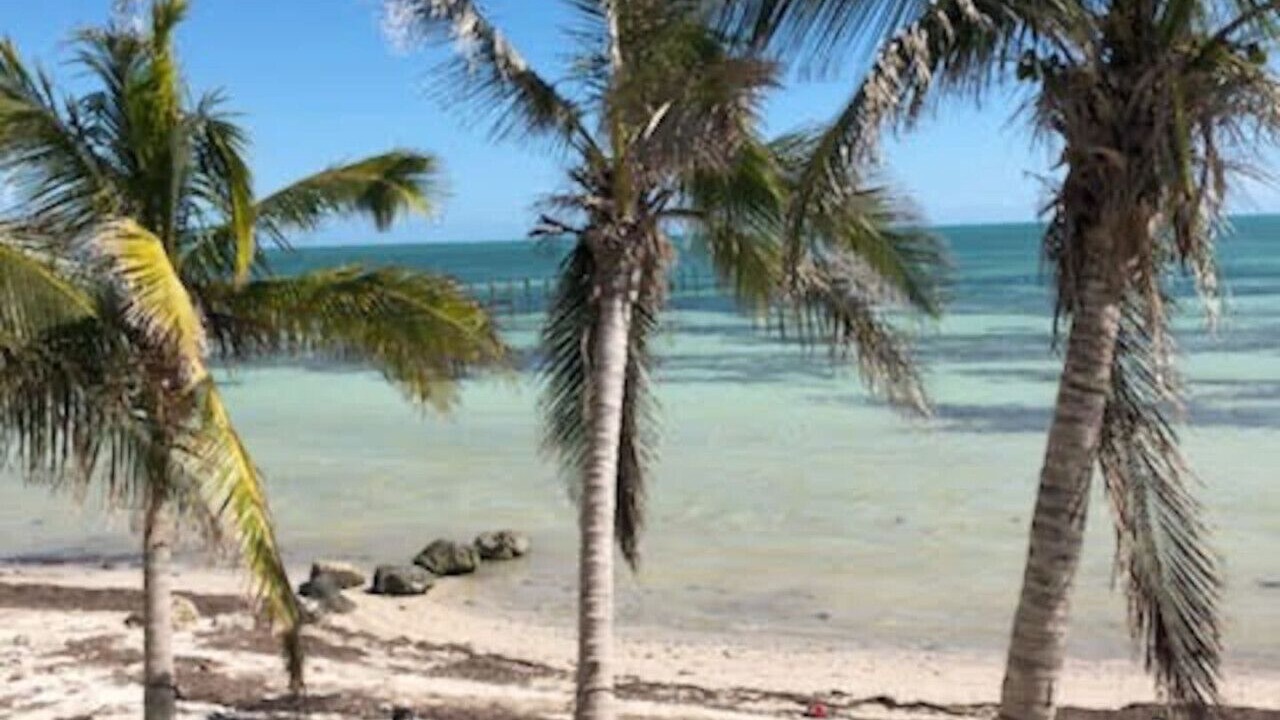 Photo of Others in Sugarloaf Key