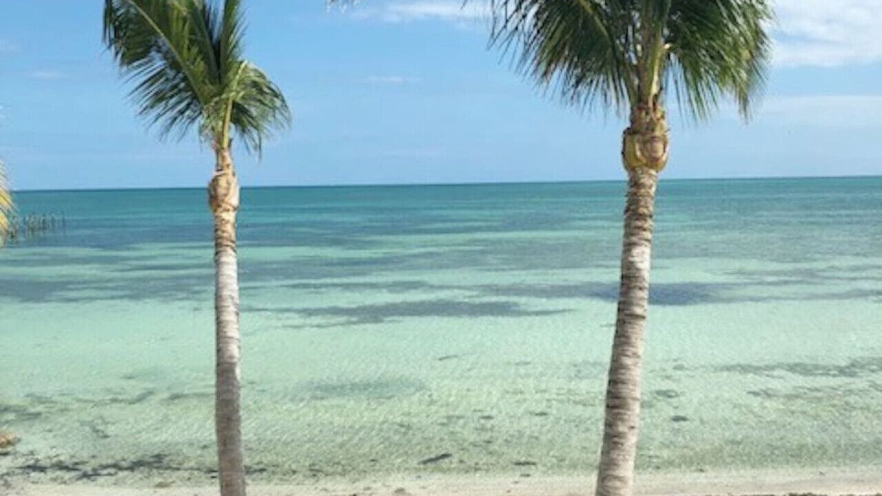 Photo of Others in Sugarloaf Key