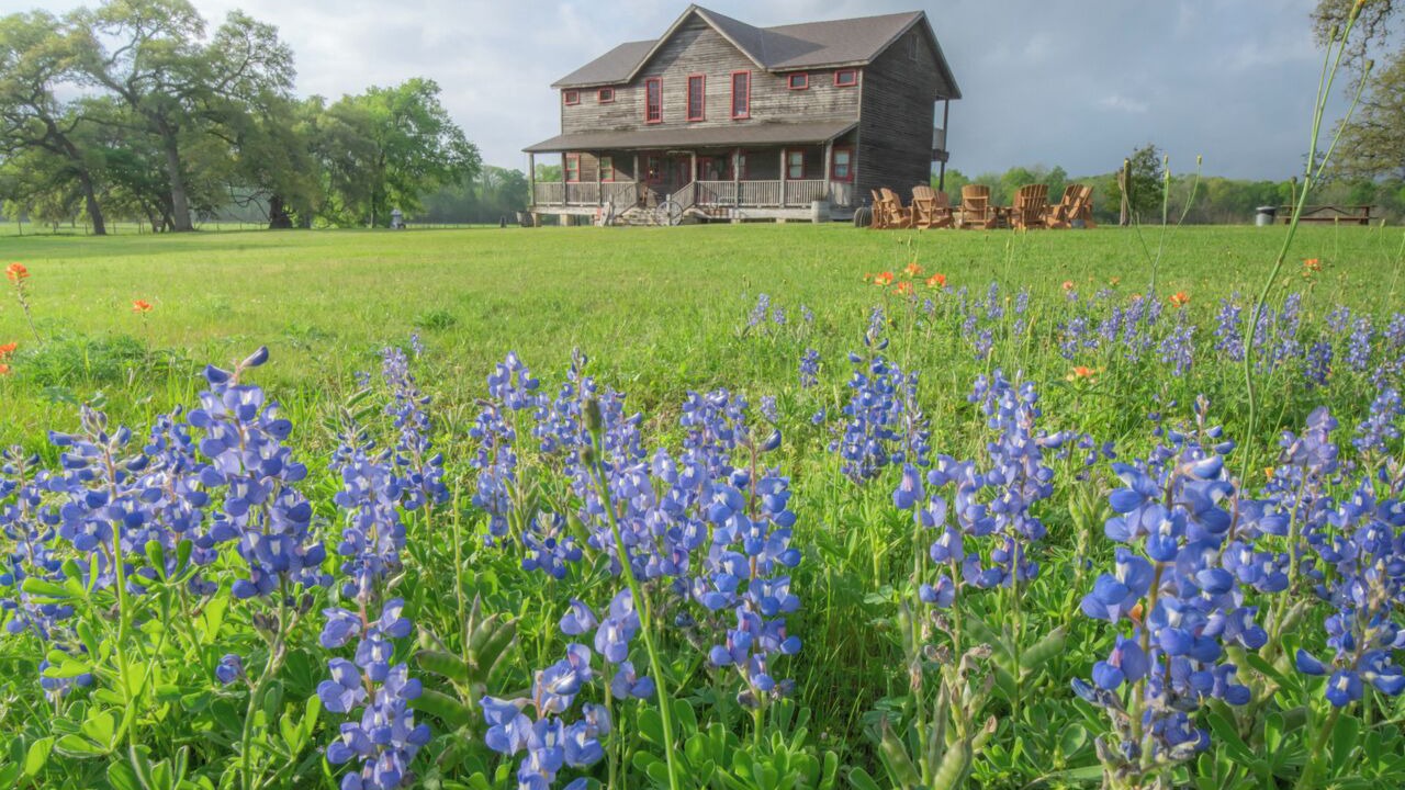 Photo of Others in Round Top