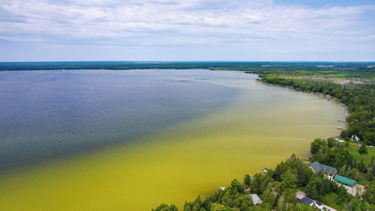 Photo of Outdoor in Cheboygan