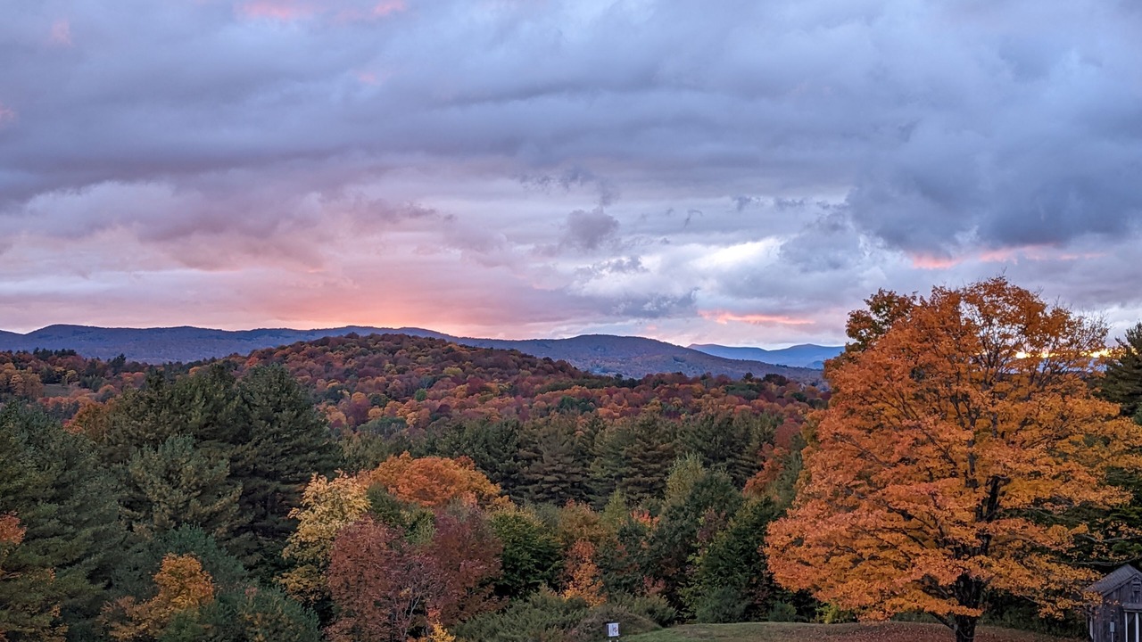 Photo of Others in Hartland Four Corners