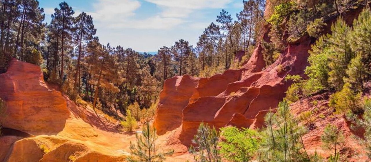 Photo of Outdoor in Avignon City Centre