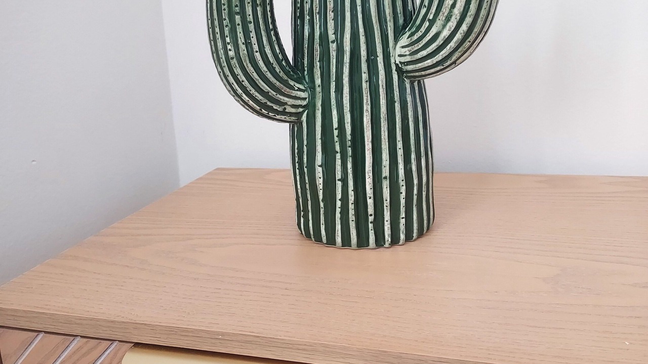 Photo of Others in Avignon City Centre