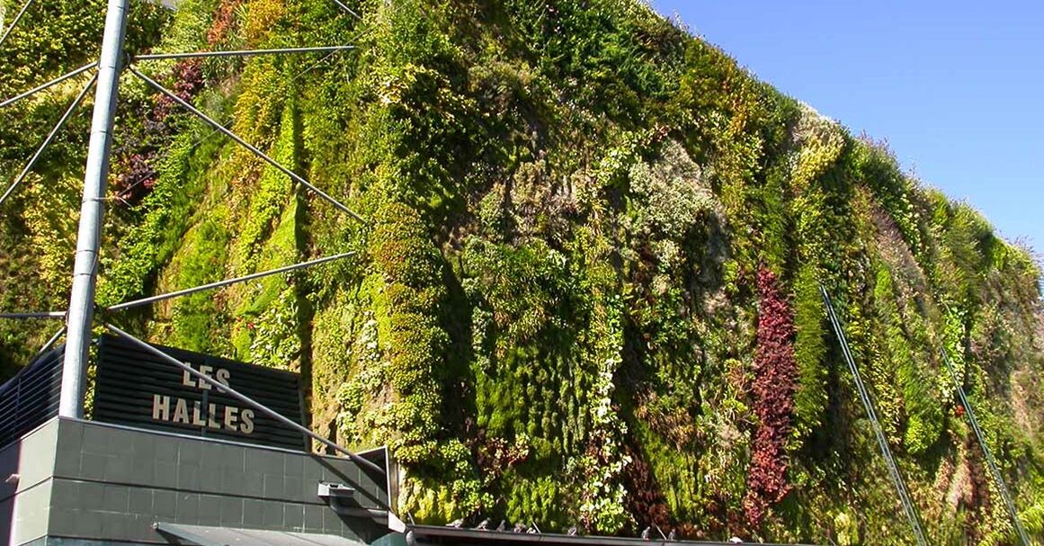 Photo of Outdoor in Avignon City Centre