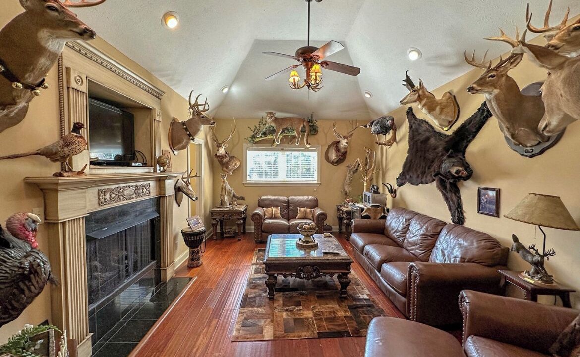Photo of Livingroom in Tougaloo