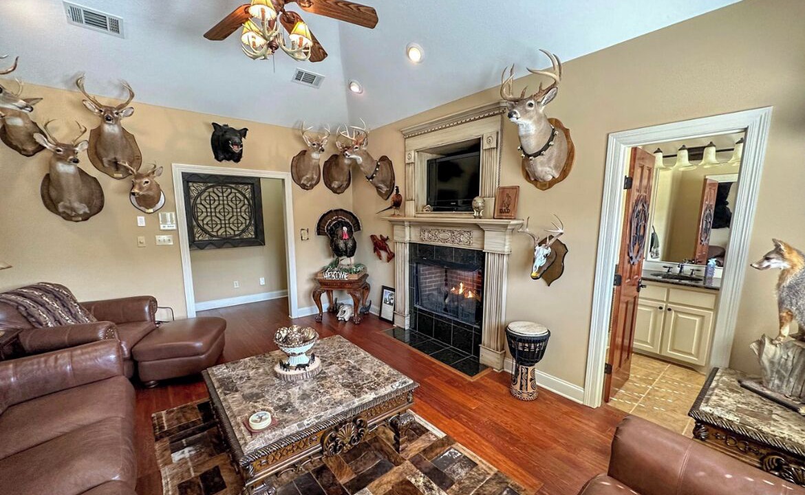 Photo of Livingroom in Tougaloo