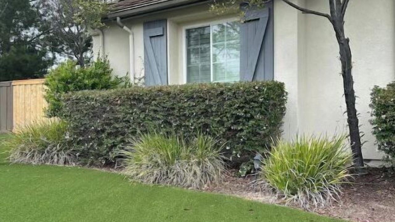 Photo of Outdoor in Chula Vista