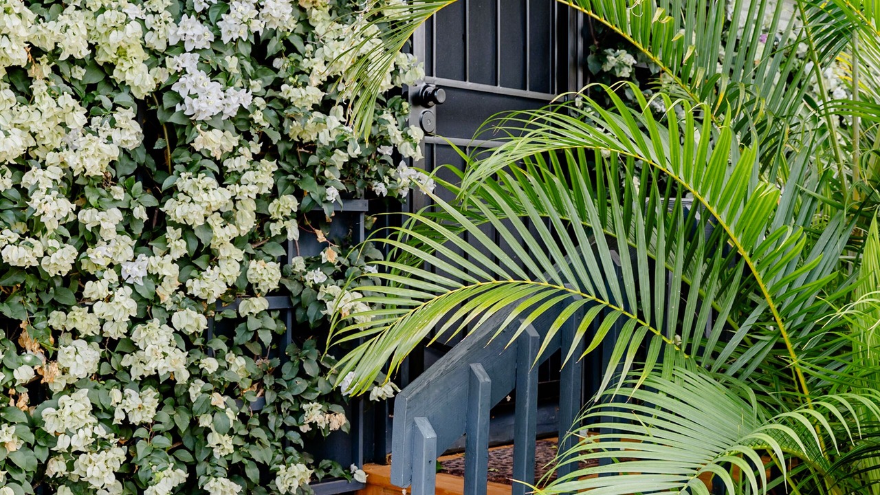 Photo of Outdoor in Ewa