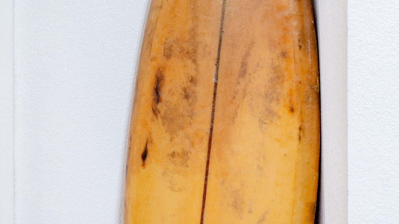 Photo of Others in Ewa