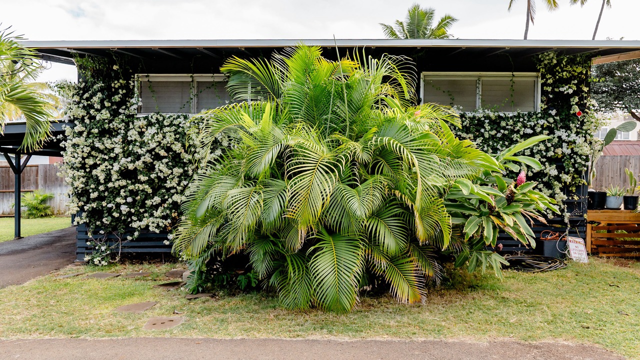 Photo of Outdoor in Ewa