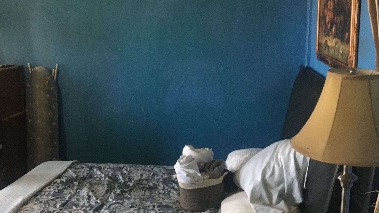 Photo of Bedroom in Williamsbridge