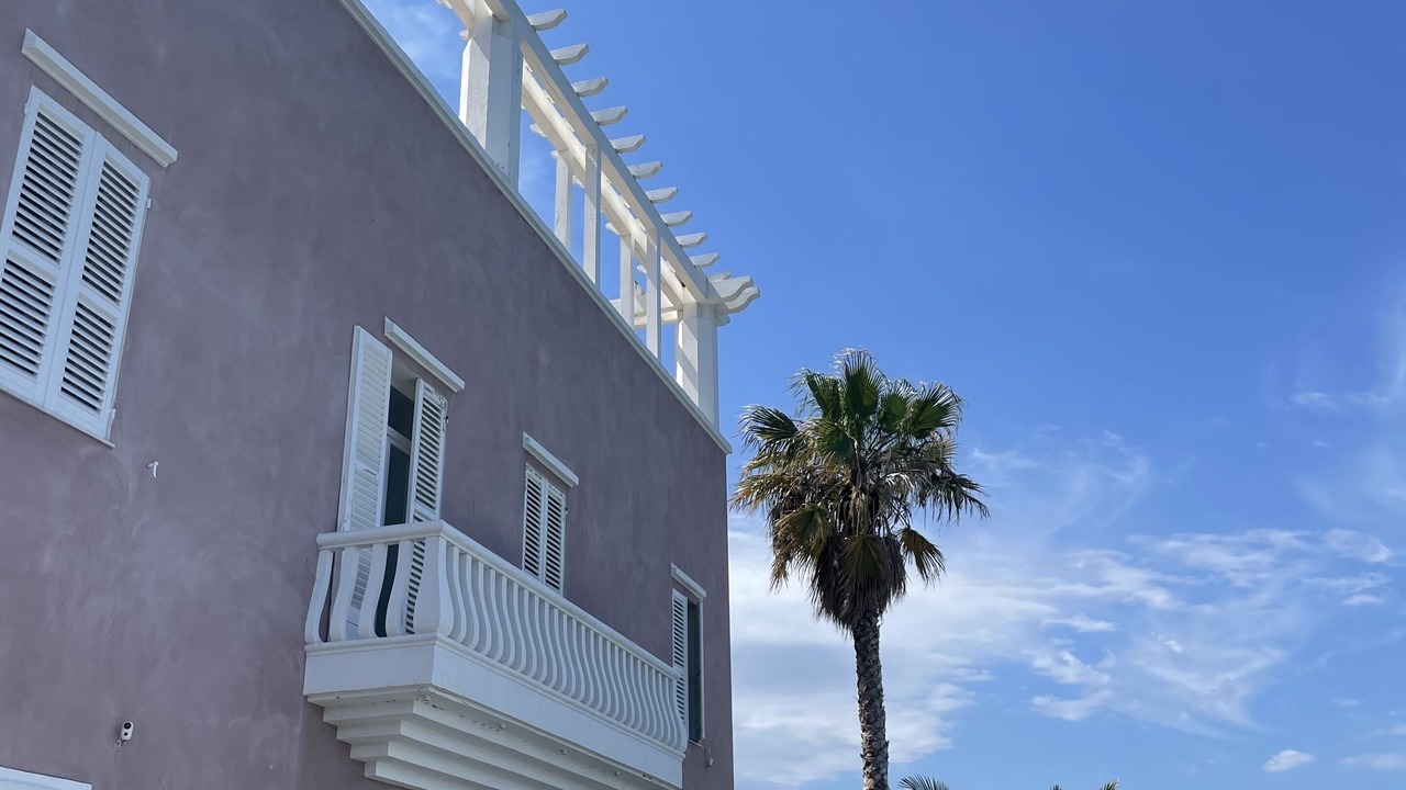 Photo of Outdoor in Saint-Florent