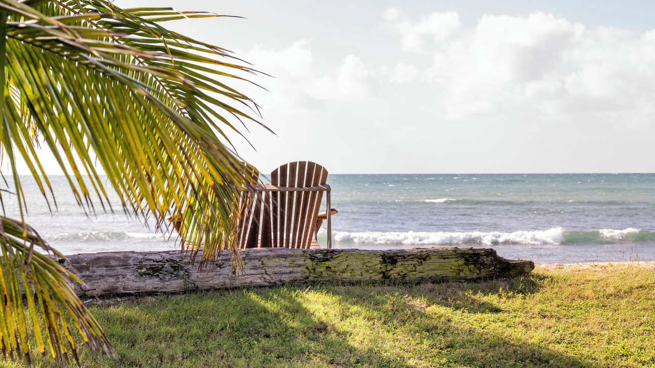 Photo of Outdoor in Ewa