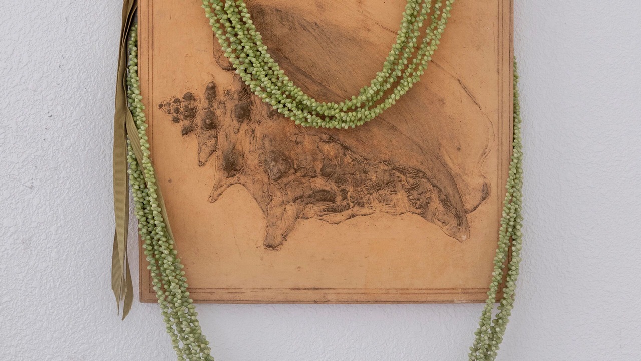 Photo of Others in Ewa