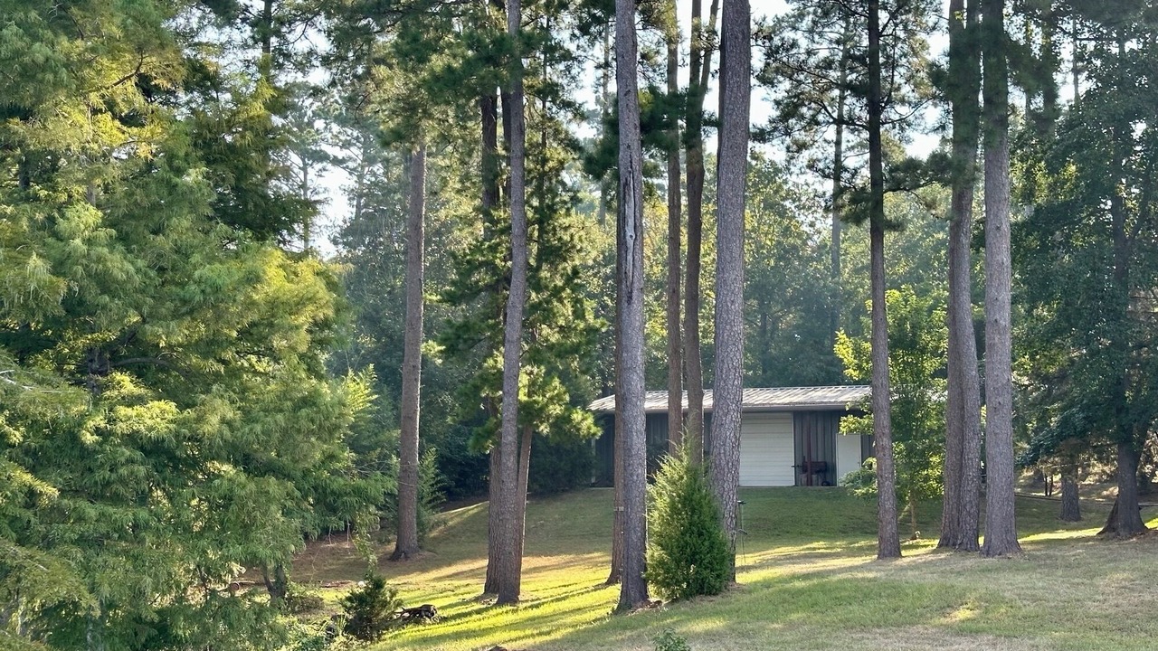 Photo of Outdoor in Lafayette County