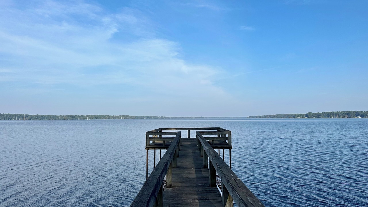 Photo of Others in Lafayette County