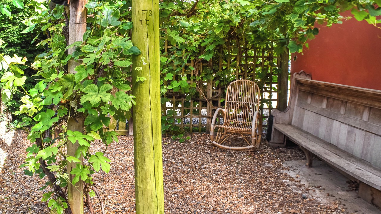 Photo of Outdoor in Diss