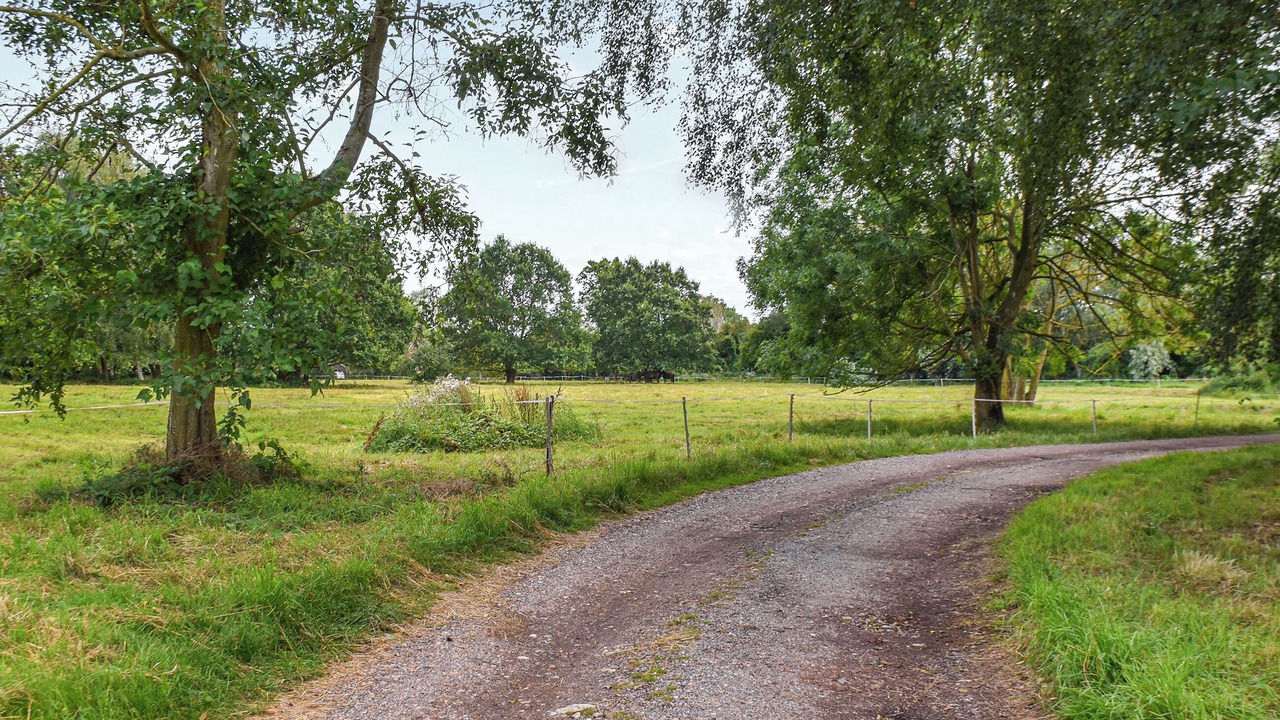 Photo of Others in Diss