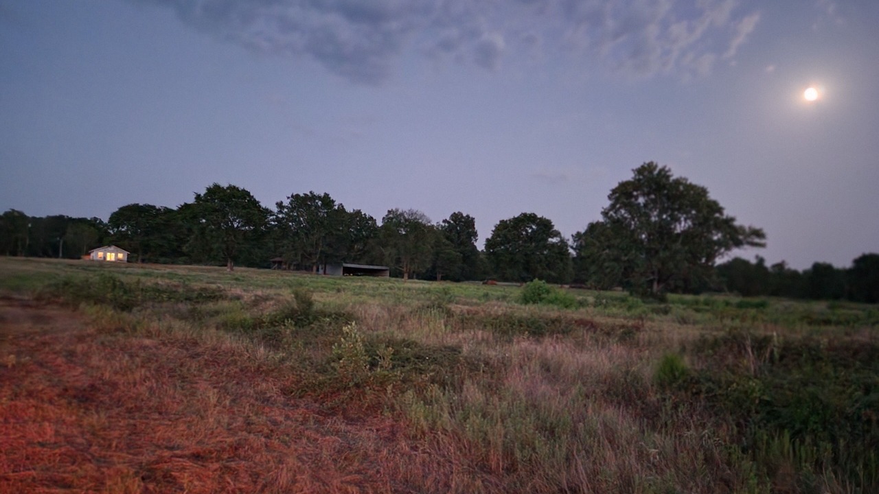 Photo of Others in Nacogdoches