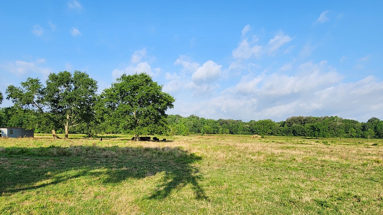 Photo of Outdoor in Nacogdoches