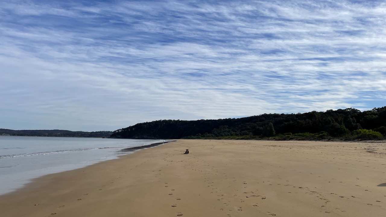 Photo of Others in Long Beach