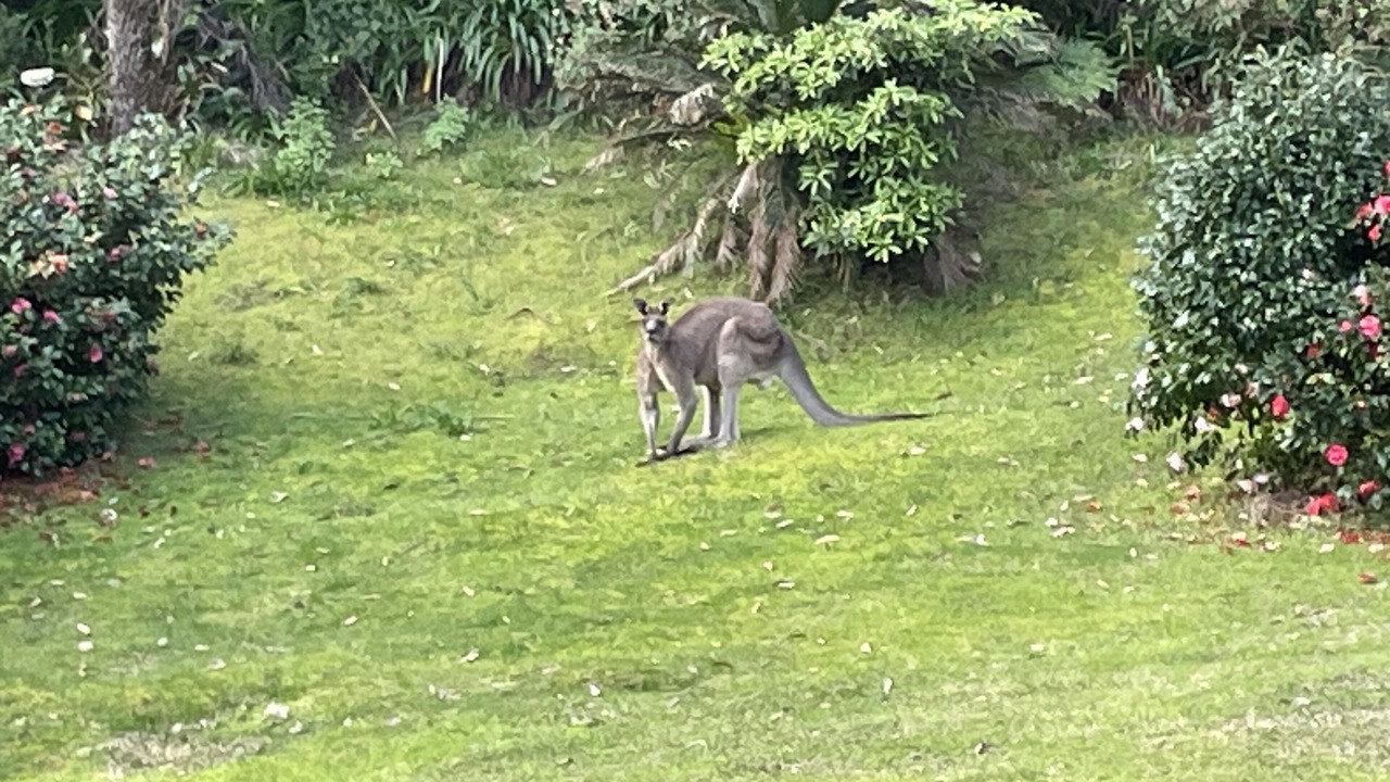 Photo of Others in Long Beach