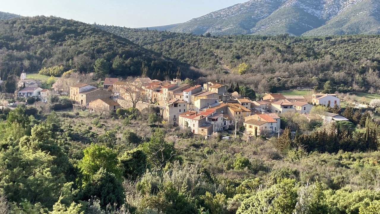 Photo of Outdoor in Feuilla